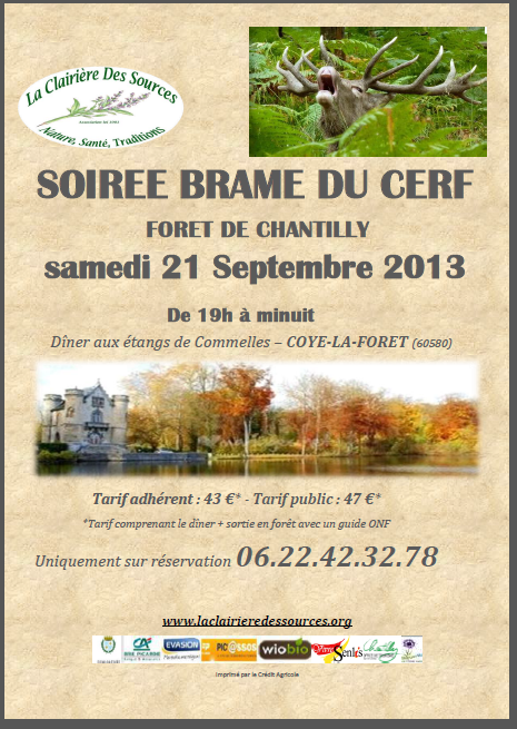 rencontre bouledogue francais nantes