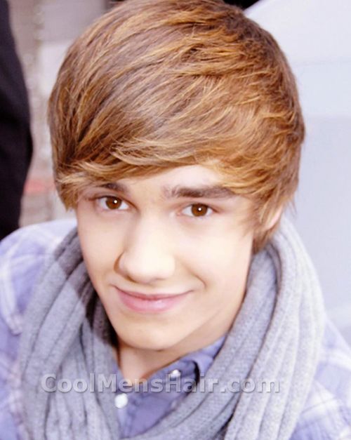 payen agama deerhan profil personil 1 direction payen agama deerhan profil personil 1 direction