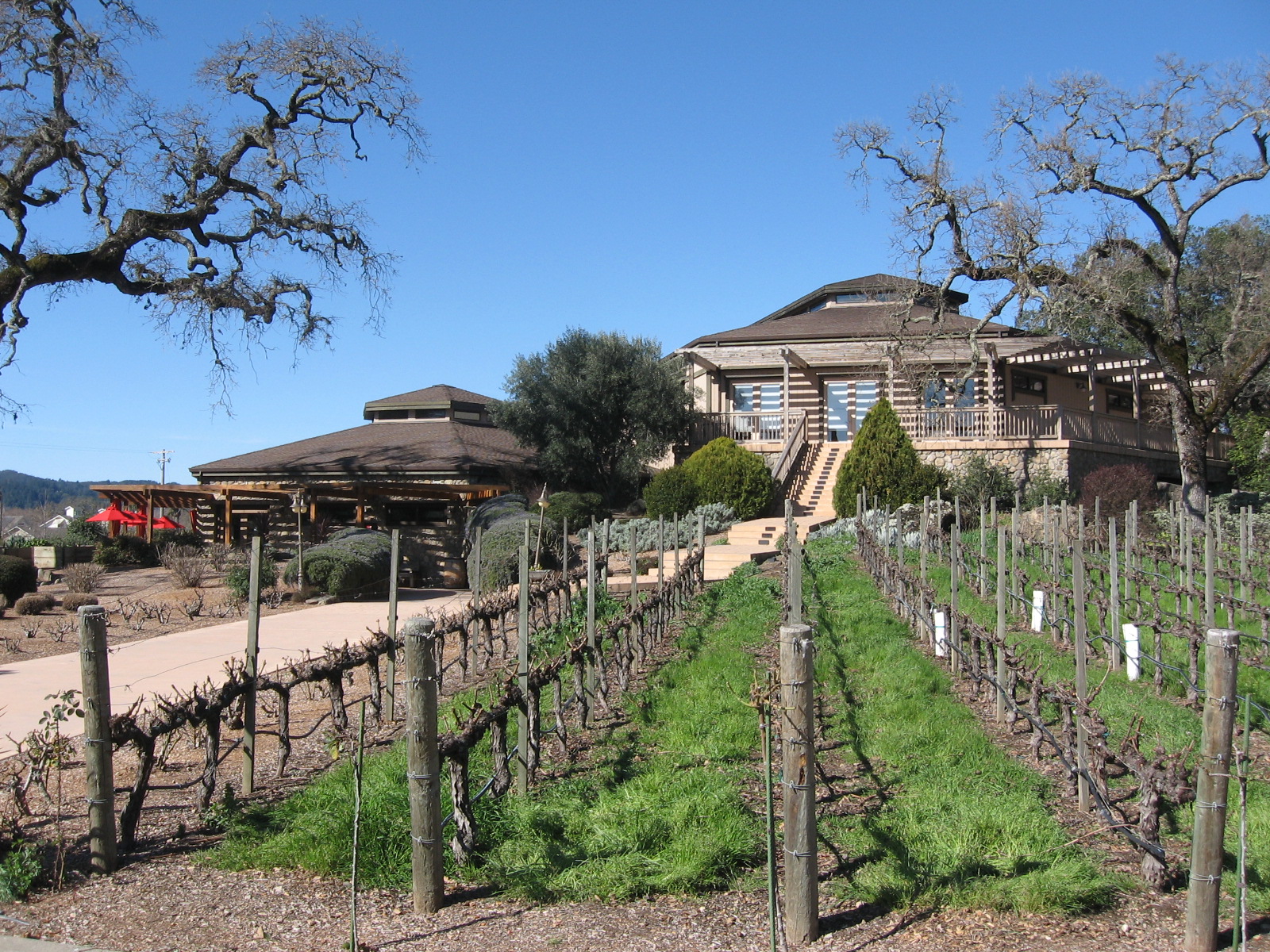 Bach to Bacchus B Cellars Winery