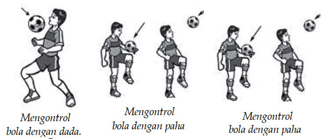 Teknik Dasar Bermain Sepak Bola Teknik Mengontrol Bola Teknik Dasar Bermain Sepak Bola Teknik Mengontrol Bola