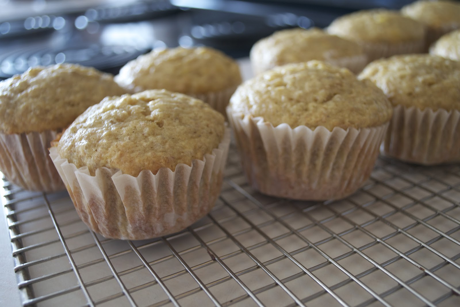 banana muffins with steelcut oats the baked life