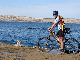 Pedaleando con las Ballenas - Cicloturismo de Aventura en Península Valdés mountain bike en la costa con ballenas de fondo