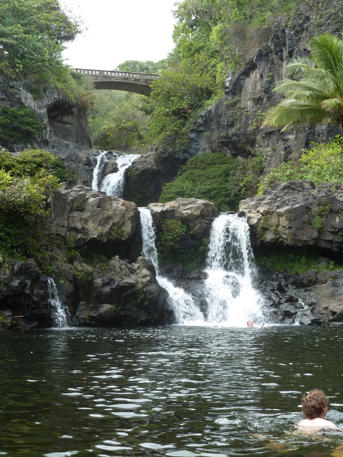 koi-pond-maui-7.jpg
