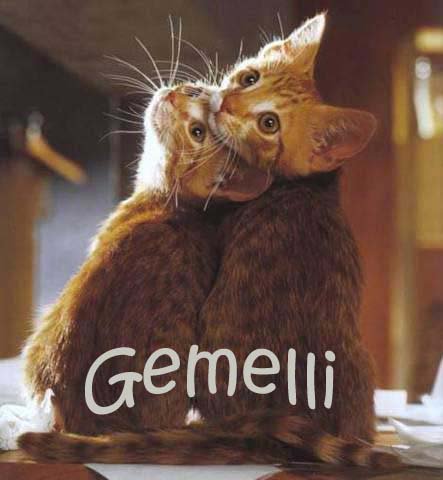 video il come conquistare un uomo gemelli video il come conquistare un uomo gemelli