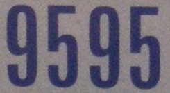 n9595.jpg