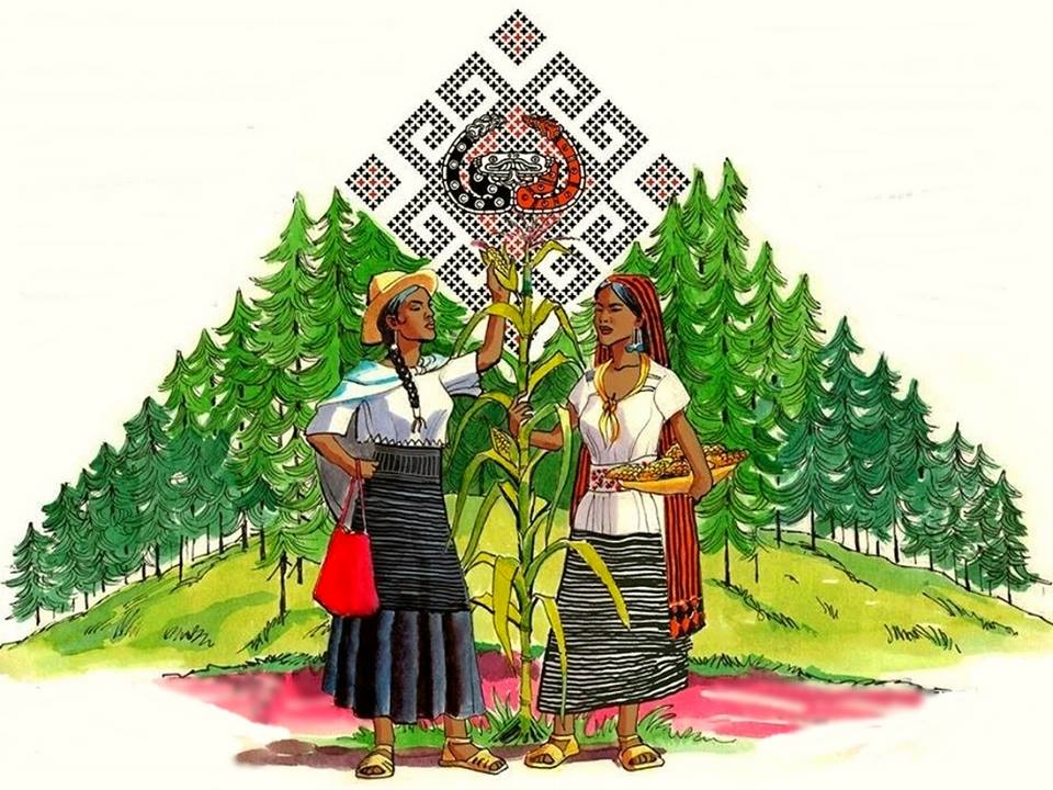 Congreso Nacional Indigena