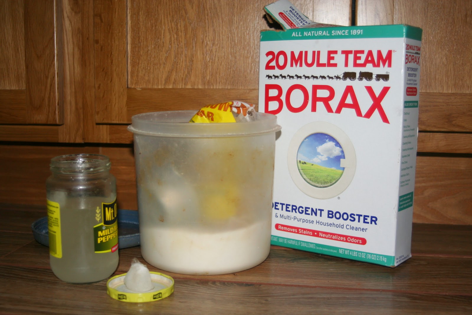 The Reluctant Grandmother: Homemade Ant Killer Does the Job