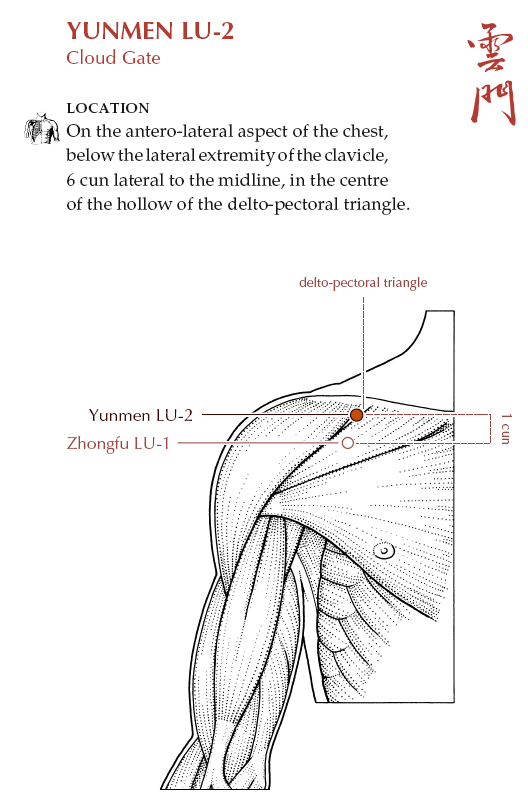 Acupuncture Masters Acupuncture Points Database Lung Channel