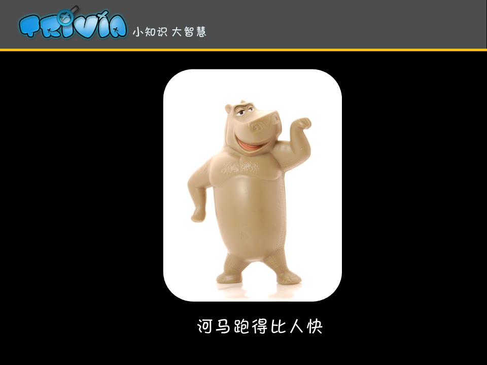 河马跑得比人快 Trivia 小知识大智慧