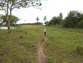 Ubay, Bohol (7 hectares) @ Php 3M