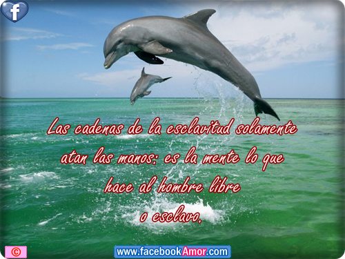 Imágenes de Frases Graciosas | Imagenes y Frases Bonitas