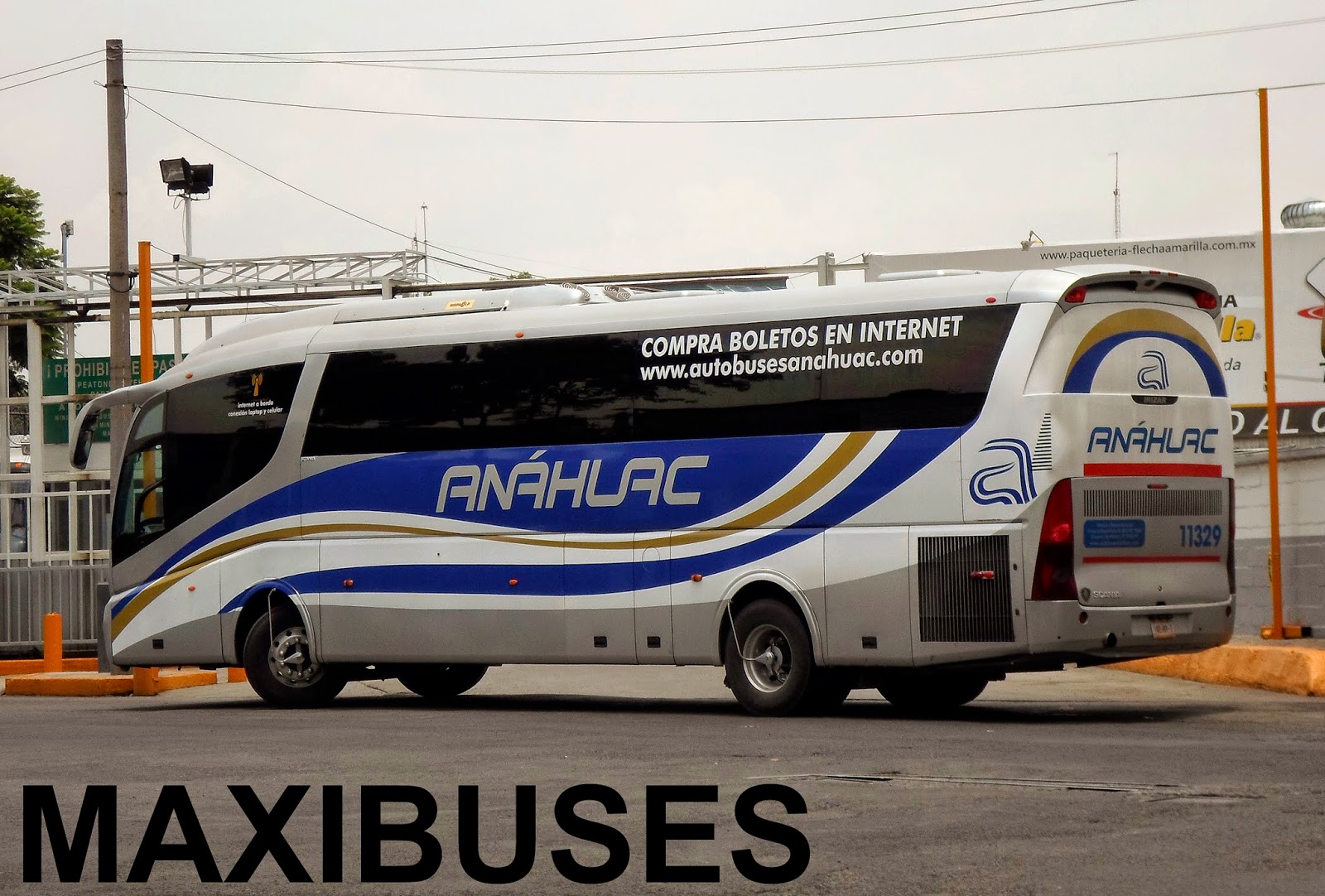 MAXIBUSES AUTOBUSES ANÁHUAC