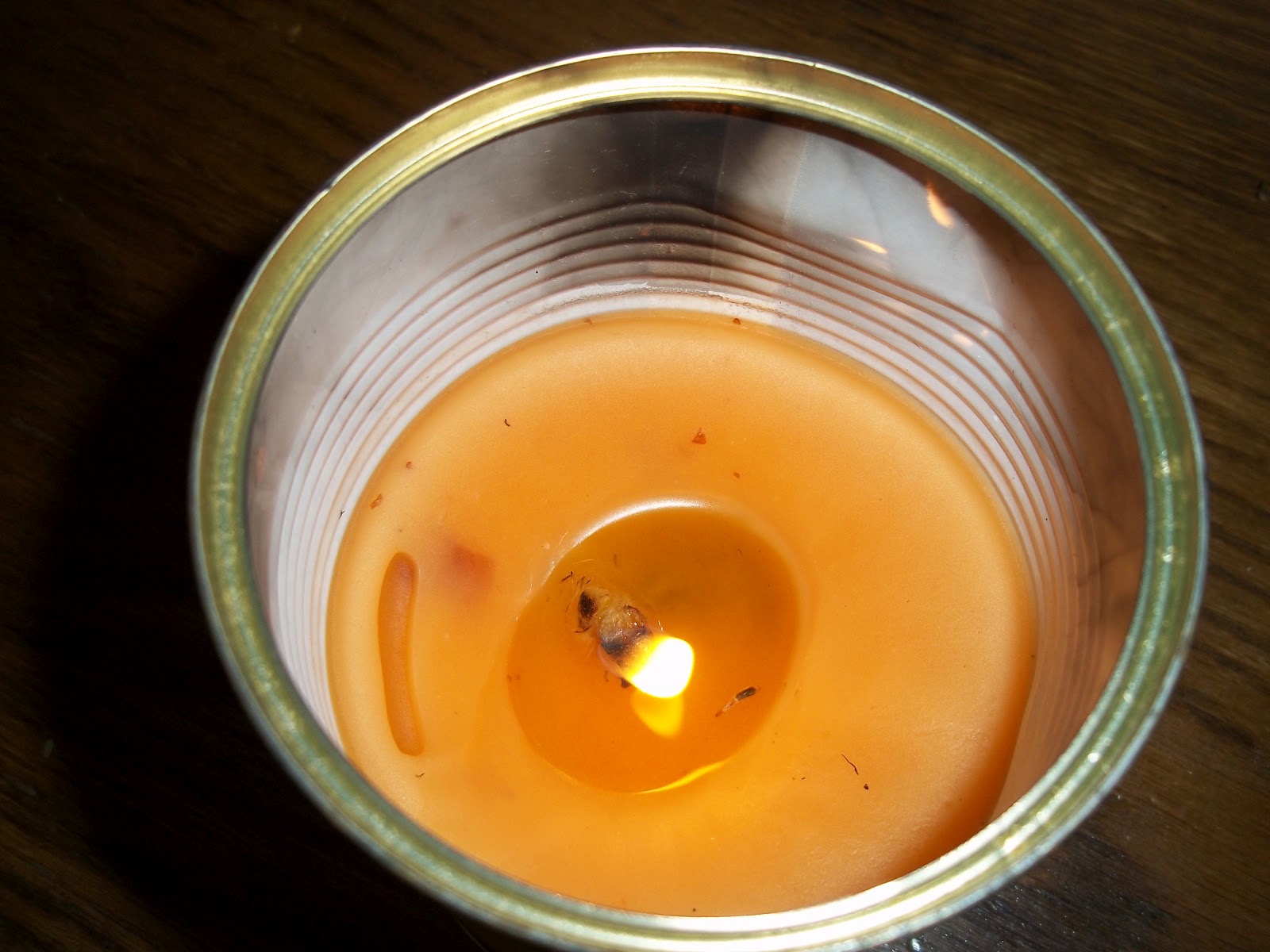 Homemade Citronella Candle Tutorial Penniless Parenting