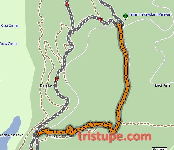 Kiara Trail Run Overtime and Magic Carpet