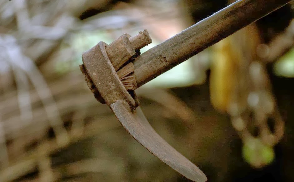 Get My Diary The Grains Of Nostalgia For Free Get Wallpaper My Diary The Grains Of Nostalgia HD