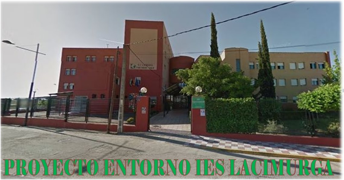 PROYECTO ENTORNO IES LACIMURGA