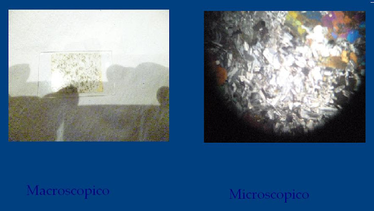 Macroscopico y microscopico