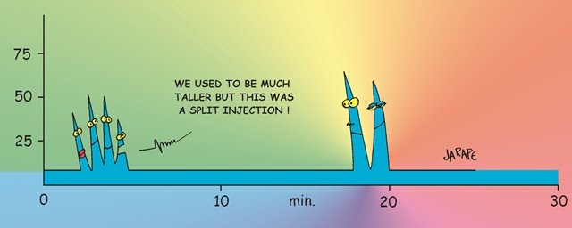 Chromathumor 043