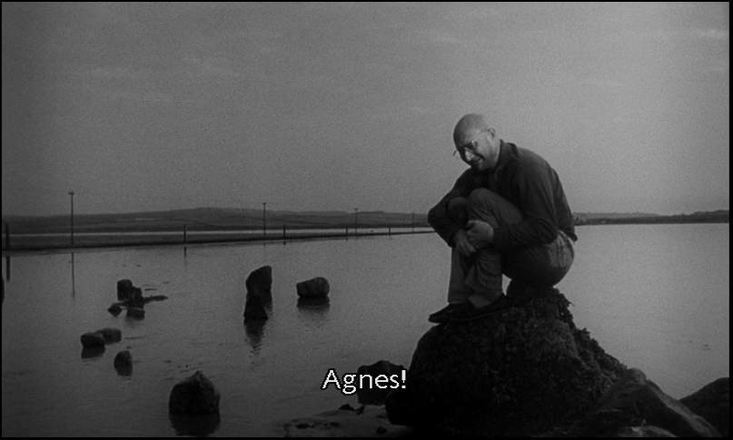 cul de femmes blacks