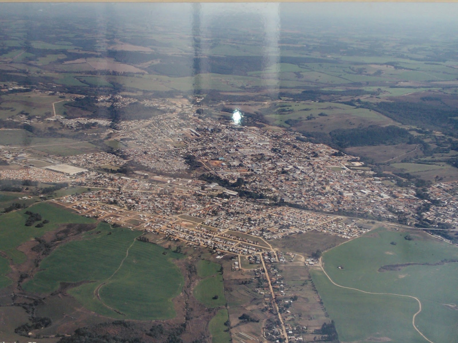 Grau e Corte Palmeira Pr