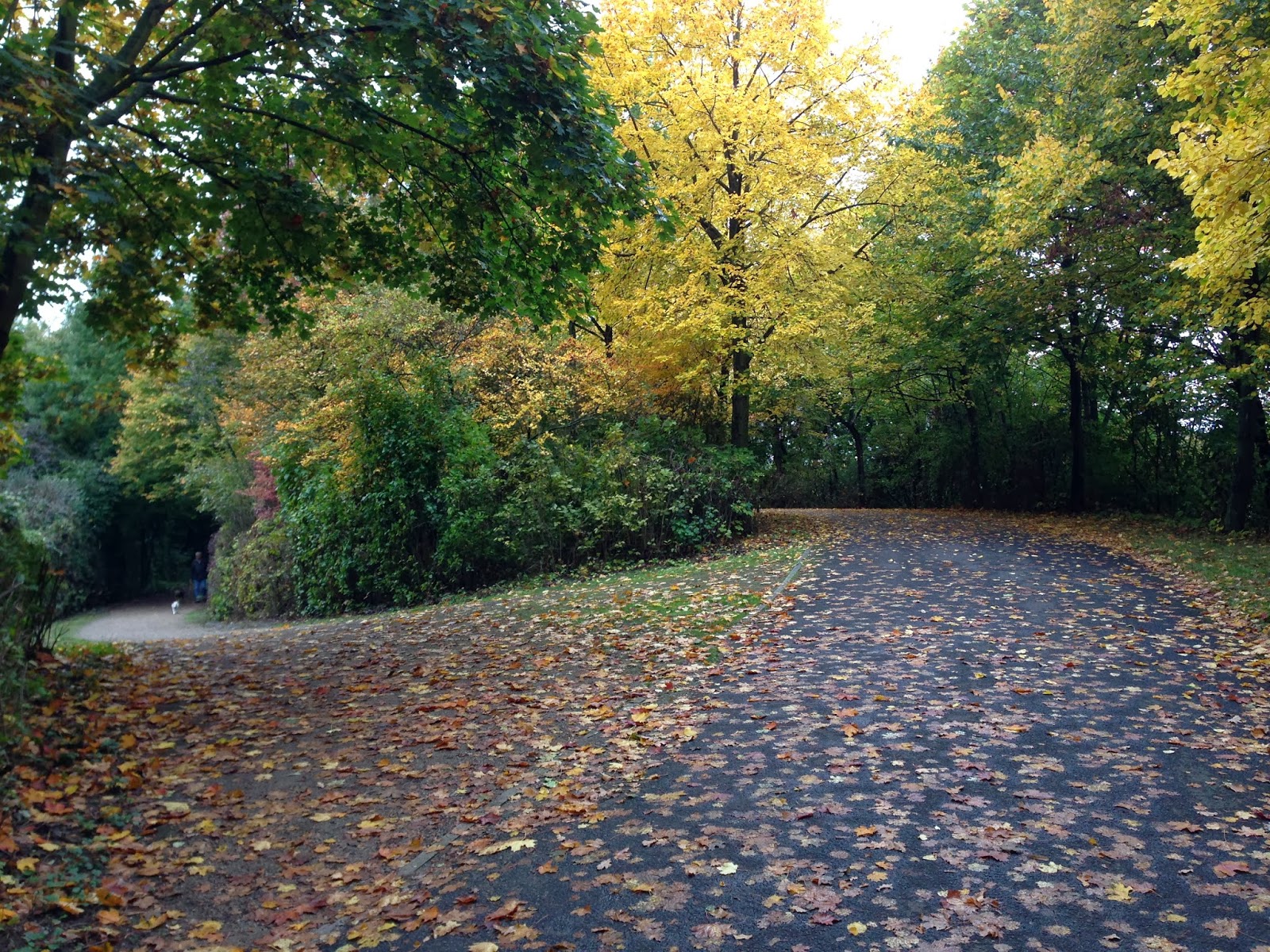 You Can Call Me Al: Two roads diverged