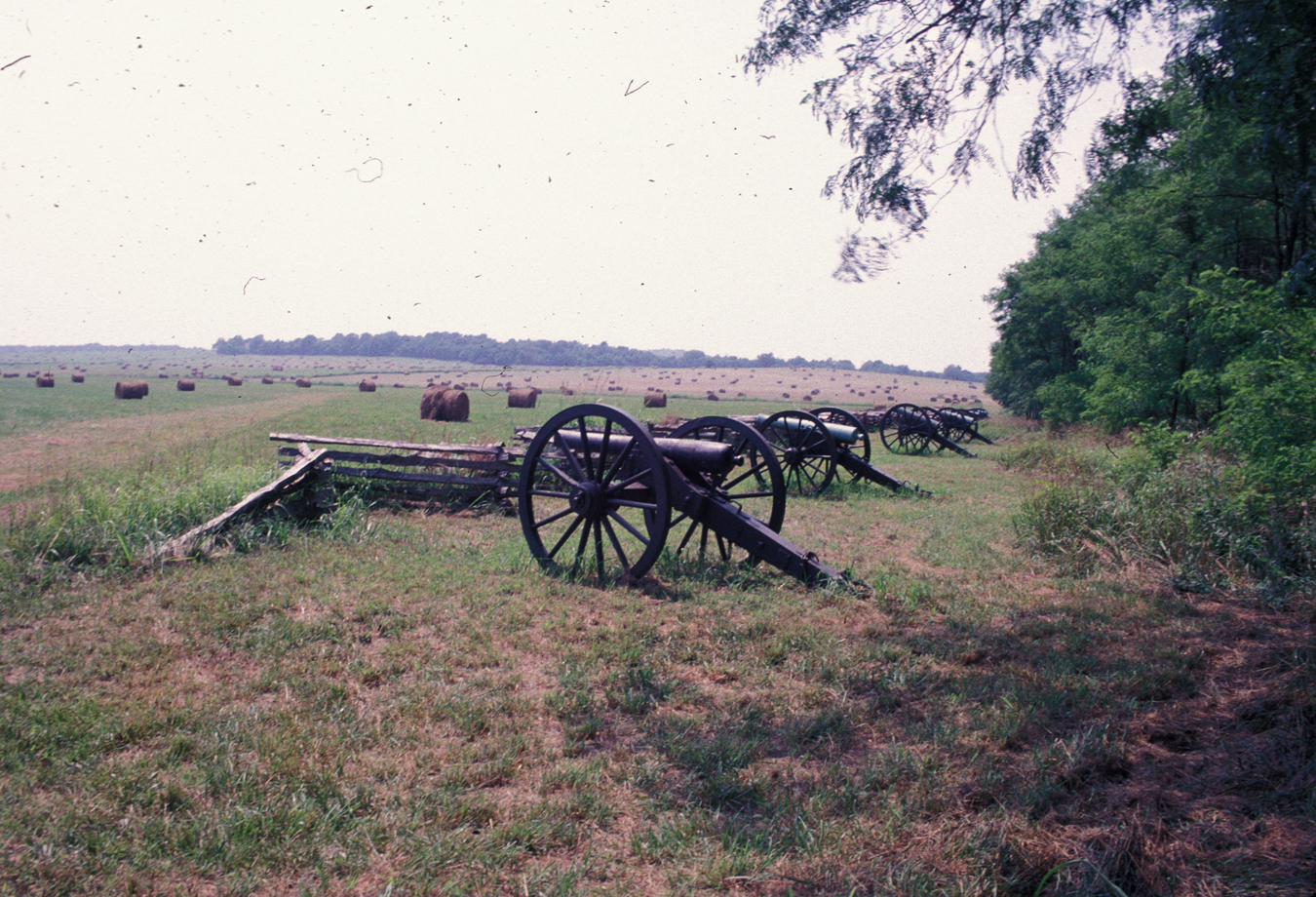 pea ridge arkansas