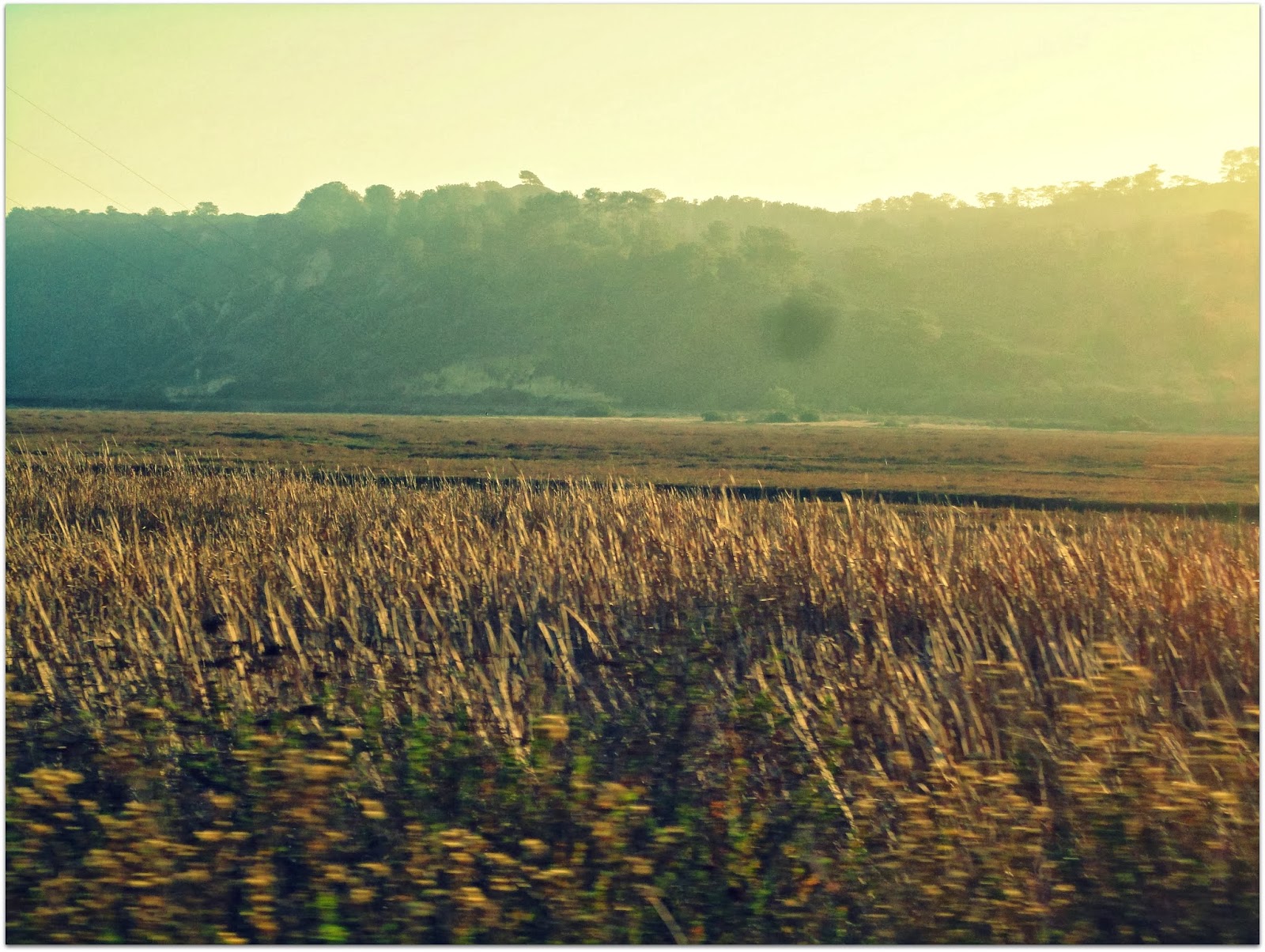 Del Mar, CA Flux Capacitor