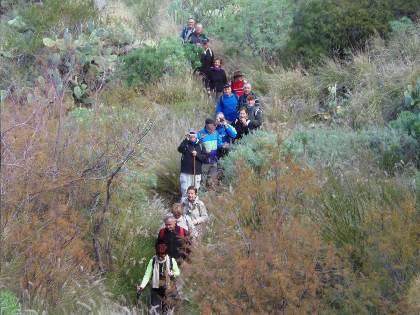 Actividades mes de Enero 2014