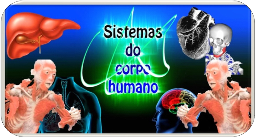 Sistemas do corpo humano