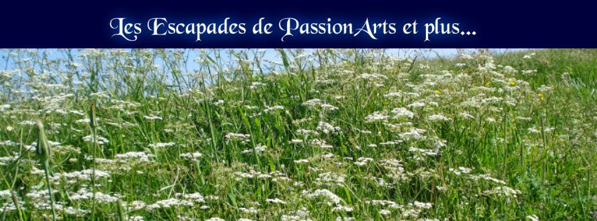 Les escapades de PassionArts et plus...