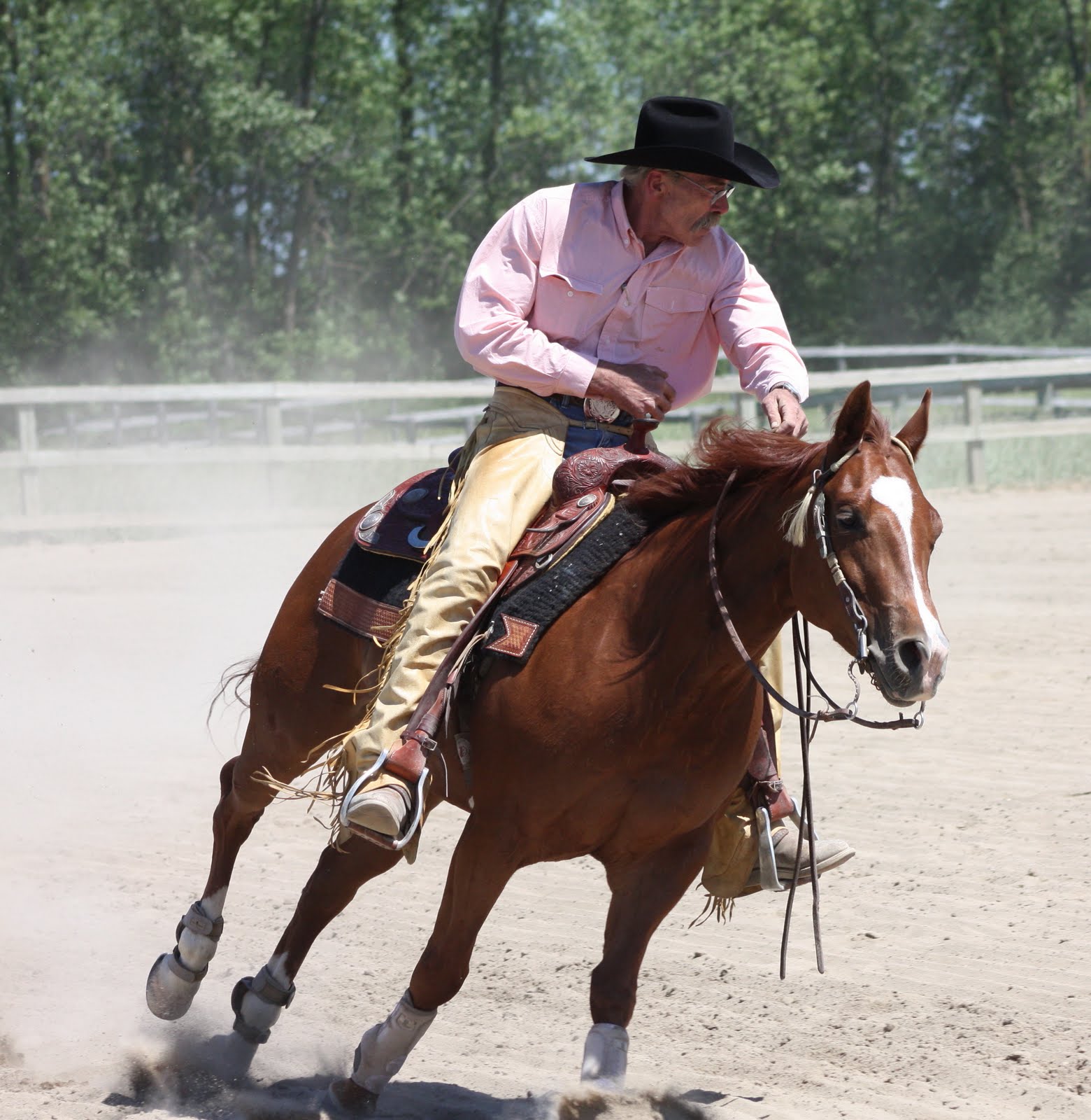 Thimbles, Bobbins, Paper and Ink Western Reining Competition The