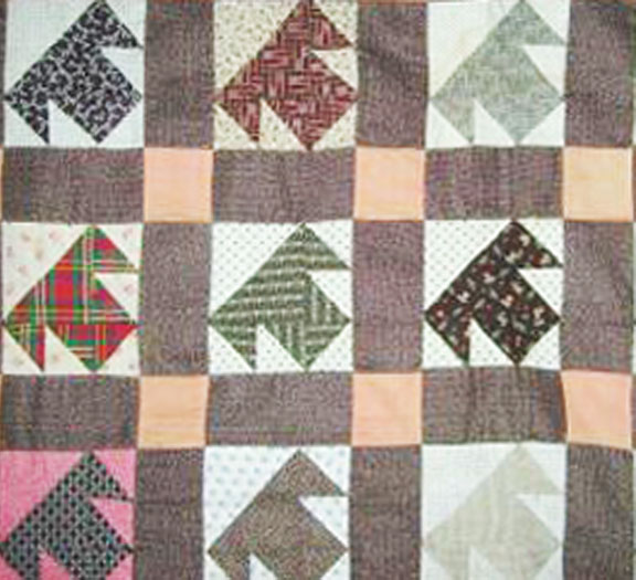 Barbara Brackman's MATERIAL CULTURE Temperance Quilts 1 T Blocks