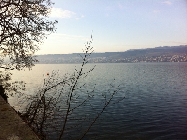 Cvp Bezirk Meilen 2012