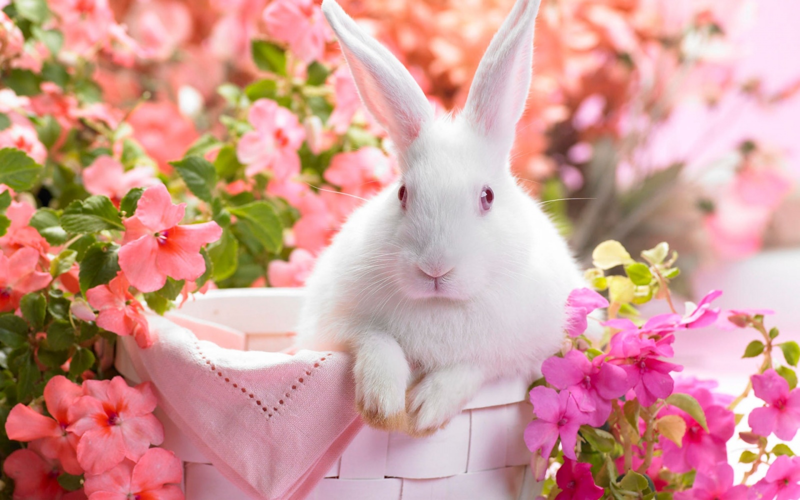 http://2.bp.blogspot.com/-BRFnOq3PSrY/UTy8m0DAthI/AAAAAAAAAdo/Pj0iA4Lm0Ew/s1600/spring-time.jpg