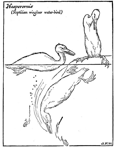 Creation Coloring Pages