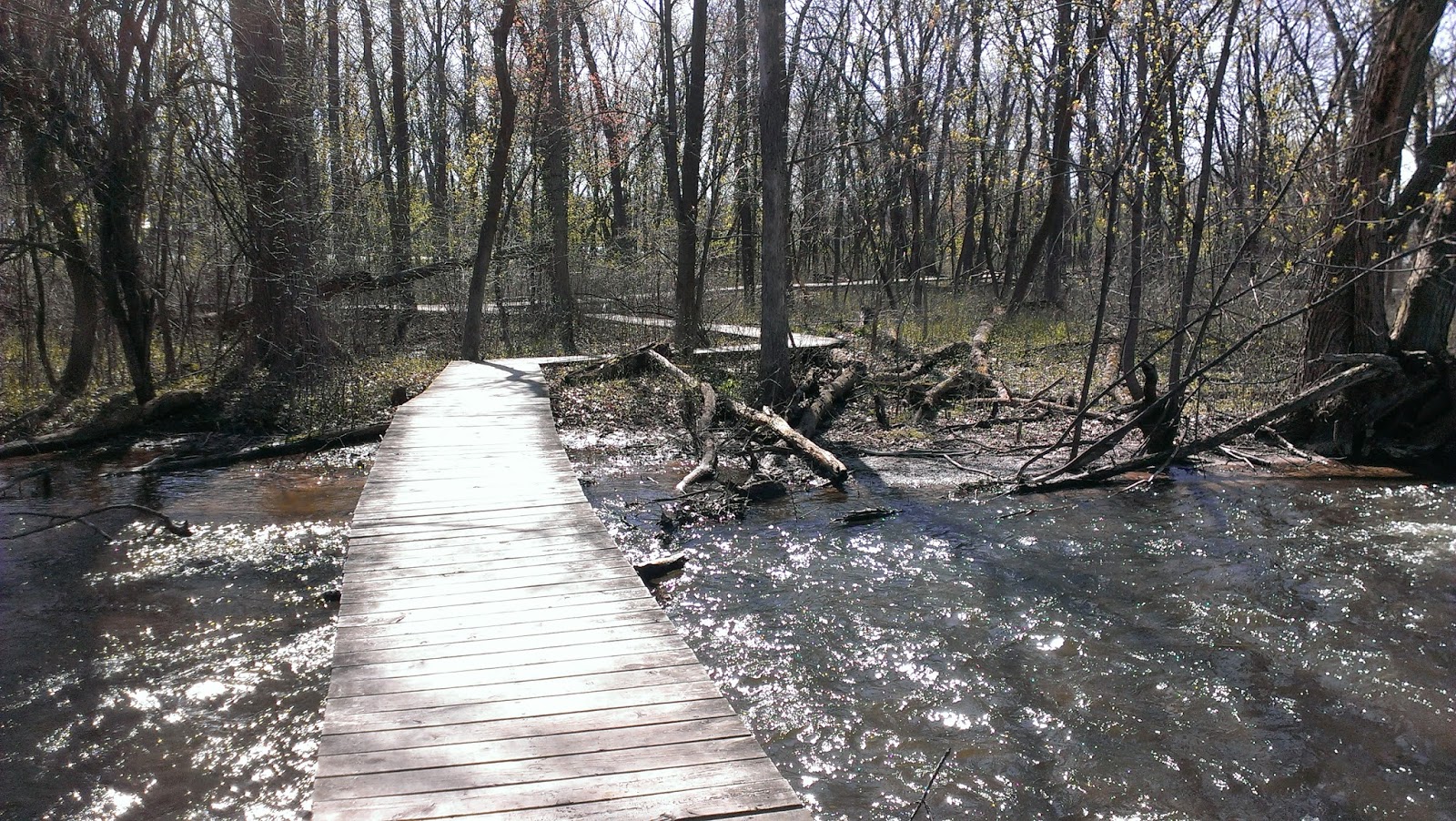 Internship Appleton 2014