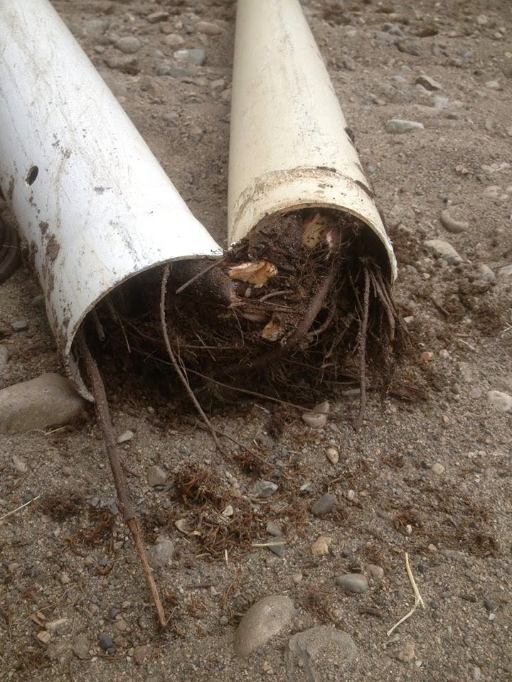 SEPTIC SYSTEMS SEPTIC TANKS SEPTIC REPAIR 2015