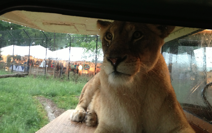 Rochester Reflections Seneca Park Zoo