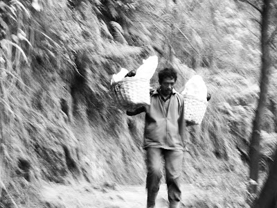 Viaje a Indonesia: Días 6 a 8 (Isla de Java: Volcanes Bromo y Kawa Ijen)