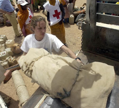 angelina jolie unicef activity