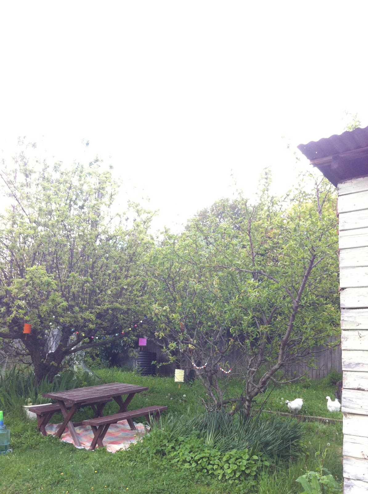 What is Skype 6773102 Finalexe ? Skype 6773102