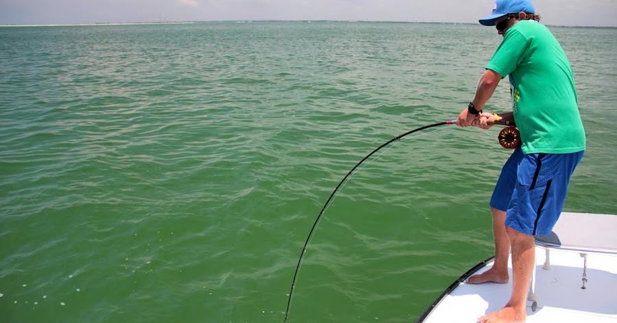 ugly stik halibut rod