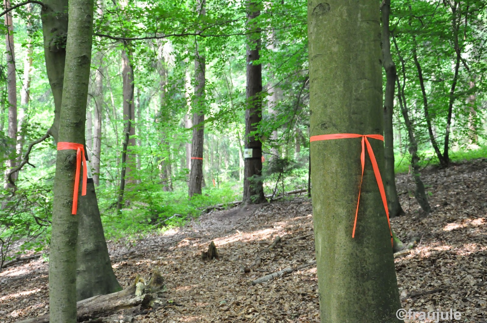 Kulturelle Landpartie 2014