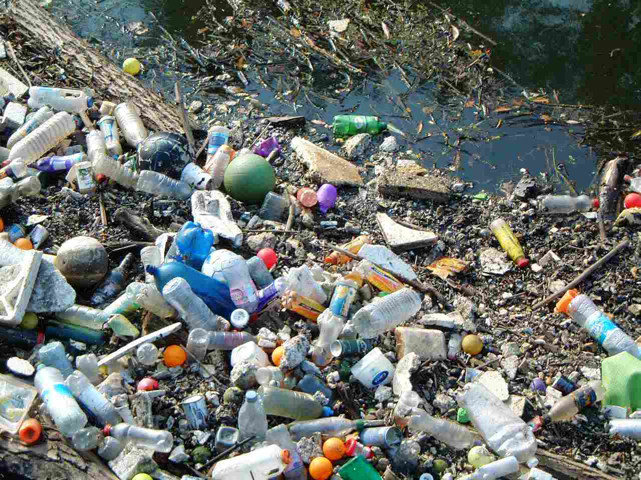 Garbage pollution image