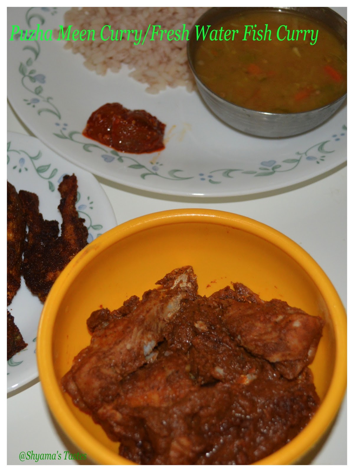 Shyama's Tastes Puzha Meen Curry/Fresh Water Fish CurryEasy Recipe