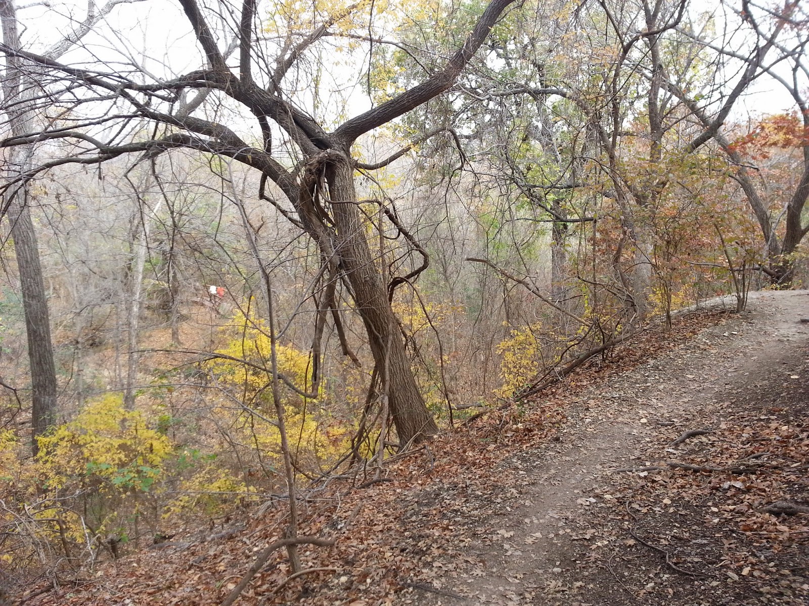 Arbor Hills Nature Preserve The Path Untaken...