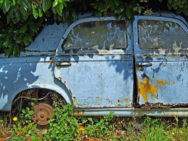 Old rusty Renault Old rusty Renault burried in the bushes