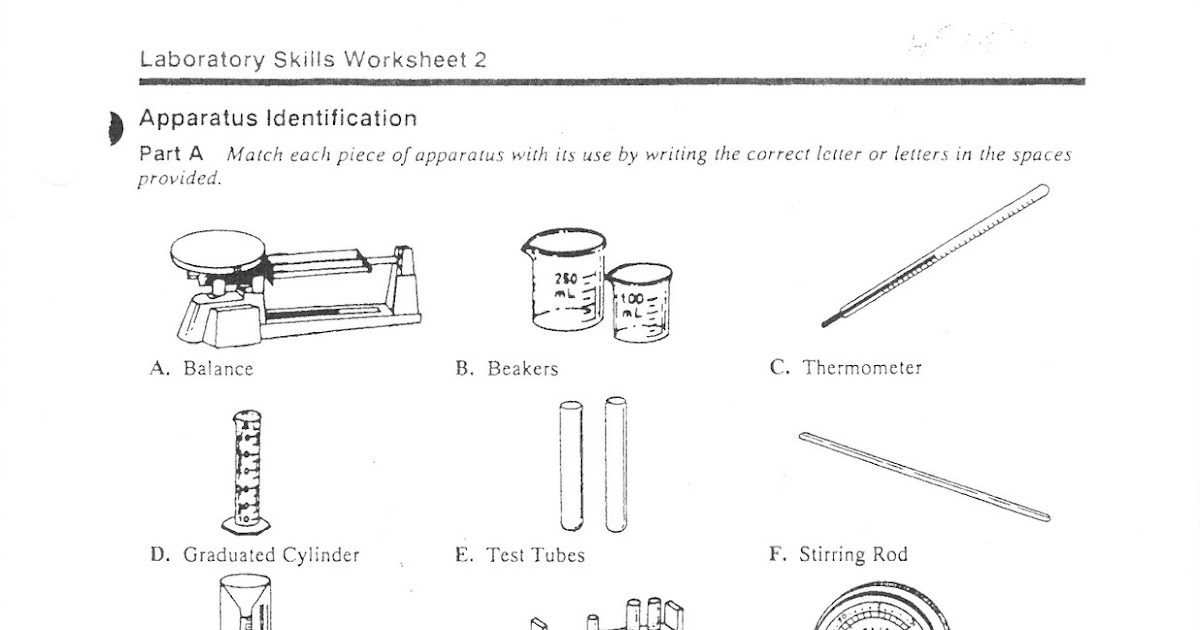 Science Class Lab Equipment Identification