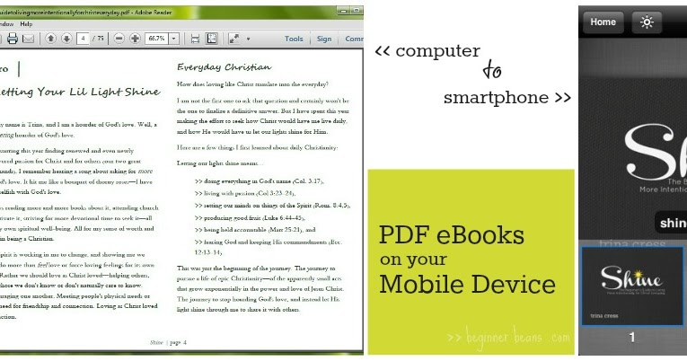 ebook Leistungsabhängige Entgeltformen bei kooperativen Arbeitsstrukturen: Ein