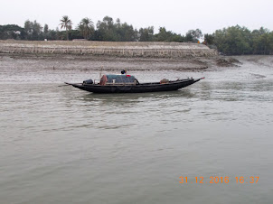 A village canoe boat with the strengthened Village Embankment(Dyke) in the background.